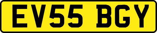 EV55BGY