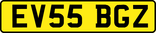 EV55BGZ