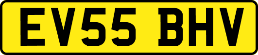 EV55BHV