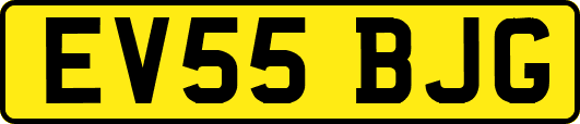 EV55BJG