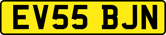 EV55BJN