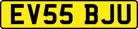 EV55BJU