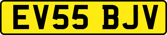 EV55BJV