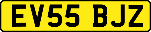 EV55BJZ