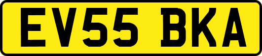 EV55BKA