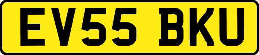 EV55BKU