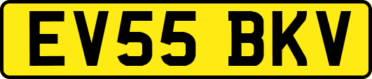 EV55BKV