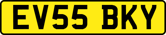 EV55BKY