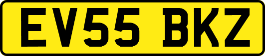 EV55BKZ