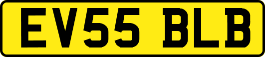 EV55BLB