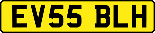 EV55BLH