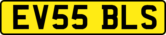 EV55BLS