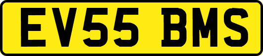 EV55BMS