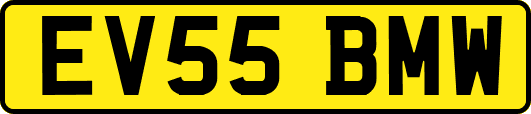 EV55BMW