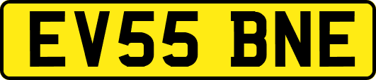 EV55BNE