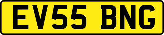EV55BNG