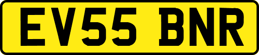 EV55BNR