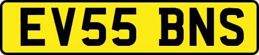 EV55BNS