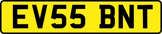 EV55BNT