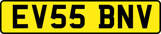 EV55BNV