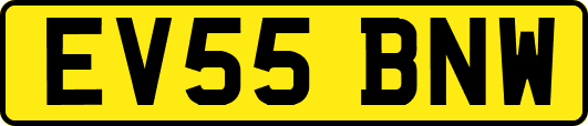 EV55BNW