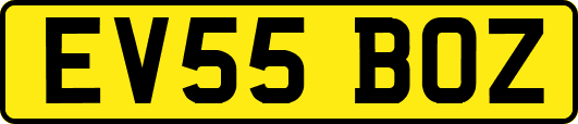 EV55BOZ