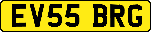 EV55BRG
