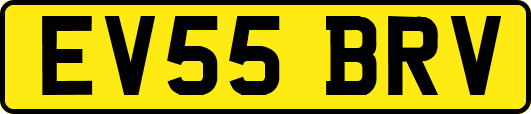 EV55BRV