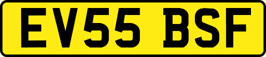 EV55BSF