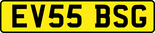 EV55BSG