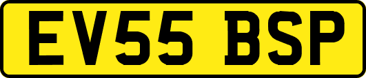EV55BSP