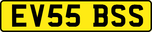 EV55BSS