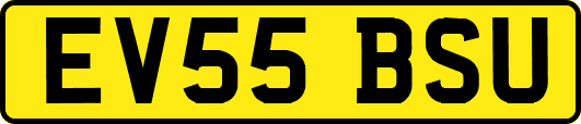 EV55BSU