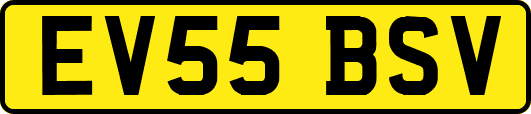 EV55BSV