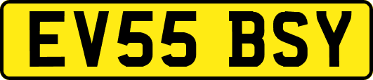 EV55BSY