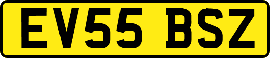 EV55BSZ