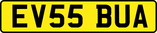 EV55BUA