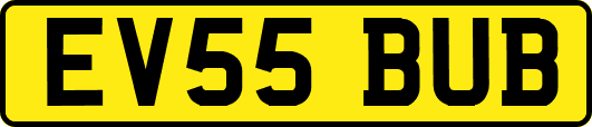 EV55BUB