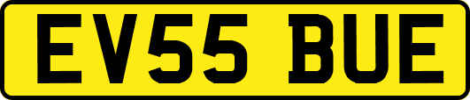 EV55BUE