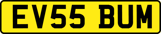 EV55BUM
