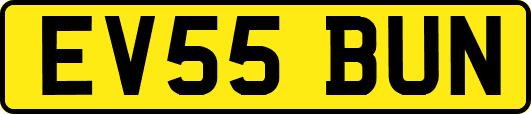 EV55BUN