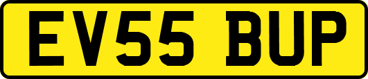 EV55BUP