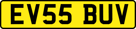 EV55BUV