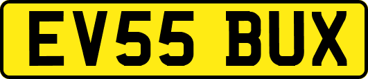 EV55BUX