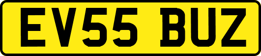 EV55BUZ
