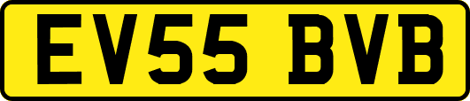 EV55BVB