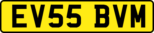 EV55BVM