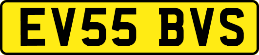 EV55BVS