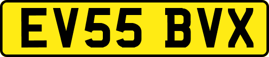 EV55BVX