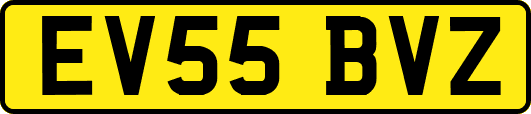 EV55BVZ